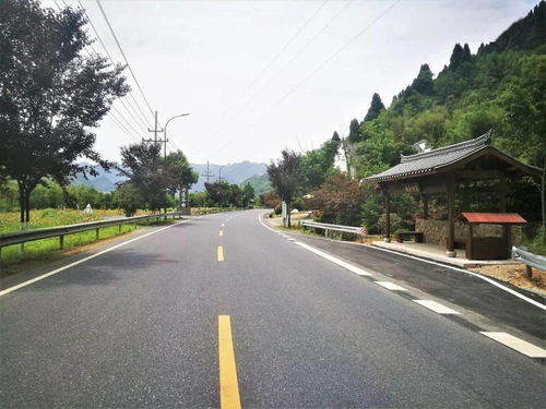 臨安公路榮膺省級綠化美化精品道路，橋梁藝術融入生態長廊